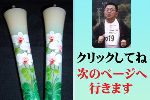胡蝶蘭のページへ