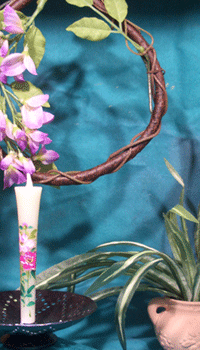ハニカミ王女シャクヤクの花