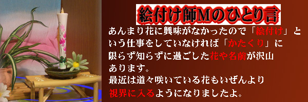 私の素敵な時間?カタクリ  