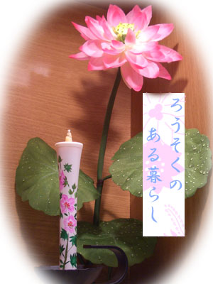 芙蓉?ろうそくのある暮らし3