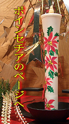 ポインセチアのページへ