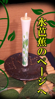 水芭蕉のページへ