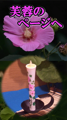 芙蓉のページへ