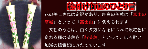 絵付師Mの独り事?芙蓉 